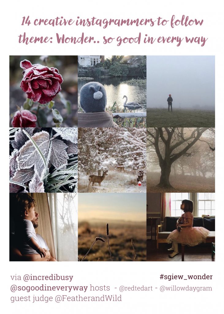 FeatherandWild-sgiew_WONDER-winners-PIN