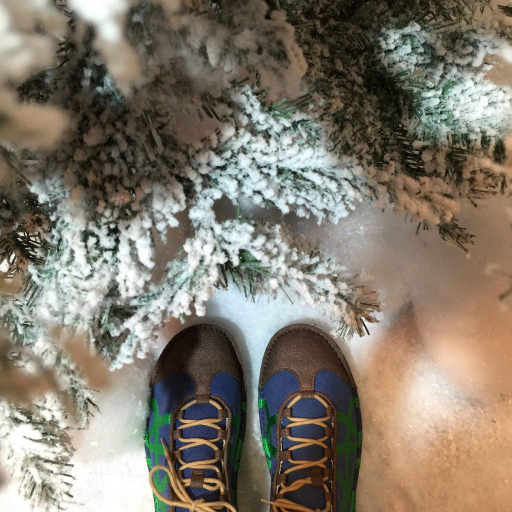pozu-in-the-snow
