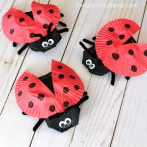 cardboard-tube-lady-bug-craft