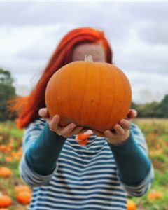 Incredibusy pumpkin