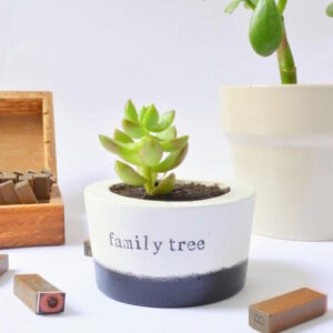 family-tree-ceramic-pot-1