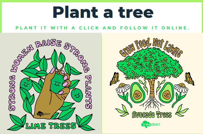 Treedom-plant-a-tree-for-World-Environment-Day