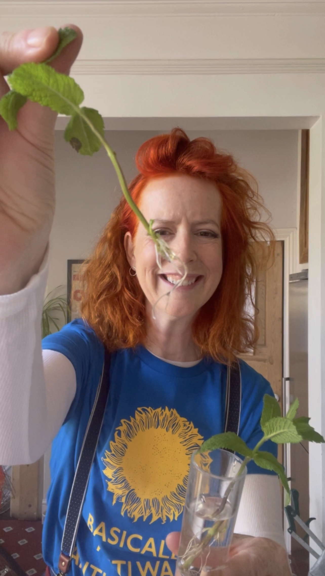 Propagation Station growing mint and basil