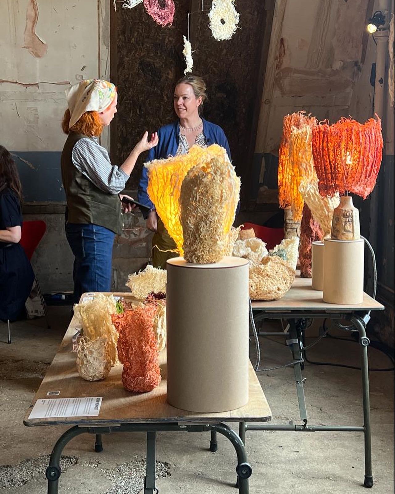 Ali chatting to Zena Holloway about RootFull